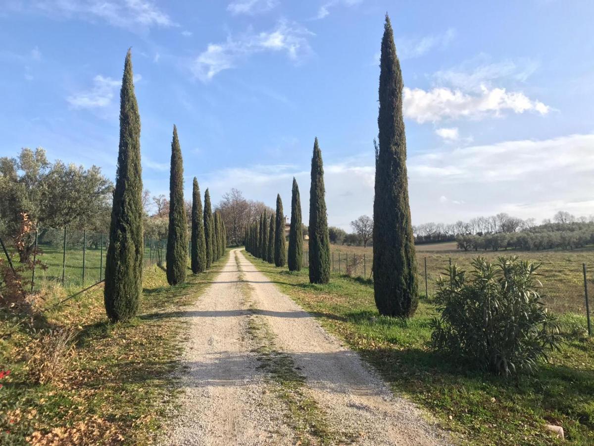 Agriturismo La Lampada Di Atena Vetralla Zewnętrze zdjęcie