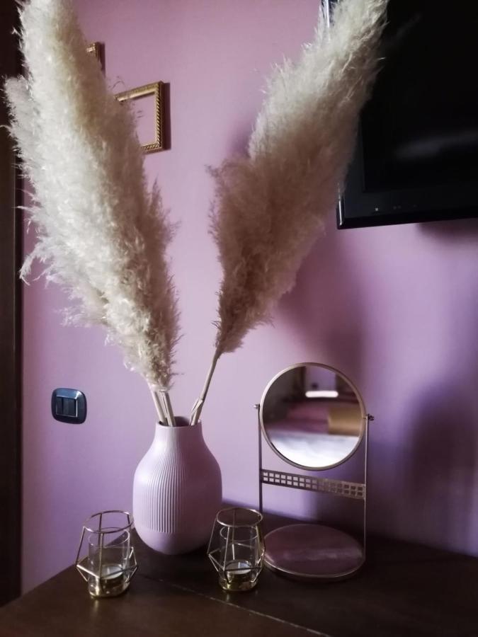 Agriturismo La Lampada Di Atena Vetralla Zewnętrze zdjęcie